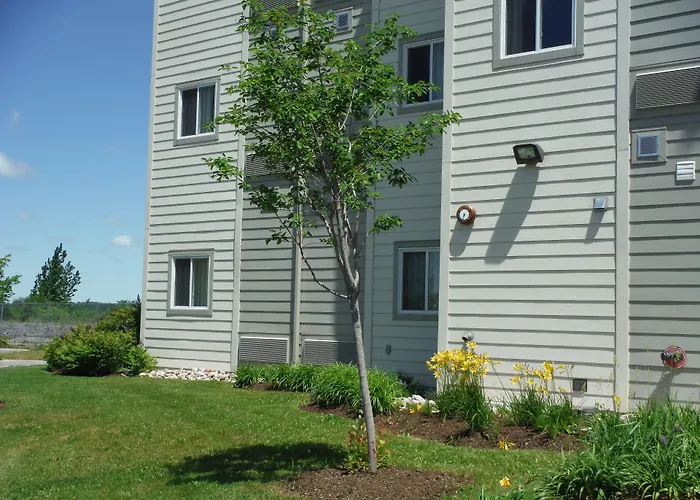 Dog Friendly Hotels in Kingston