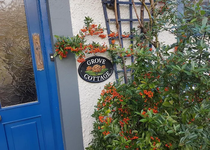 Dog Friendly Hotels in Westport