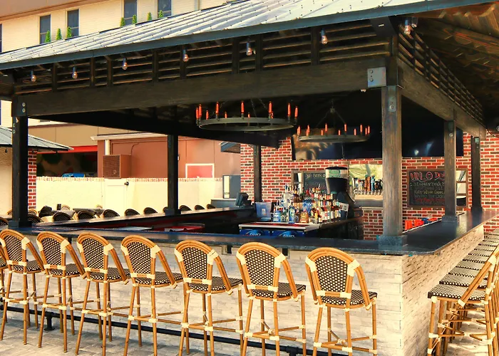 Dog Friendly Hotels in Dade City