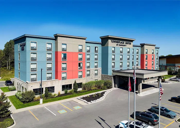 Dog Friendly Hotels in Belleville