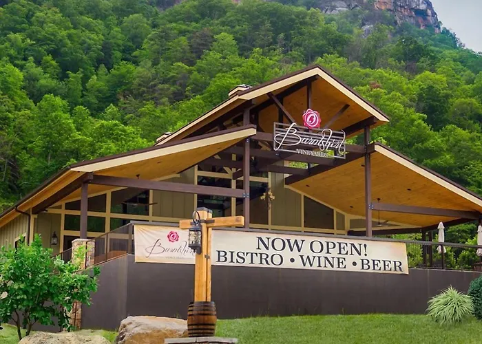 Dog Friendly Hotels in Lake Lure