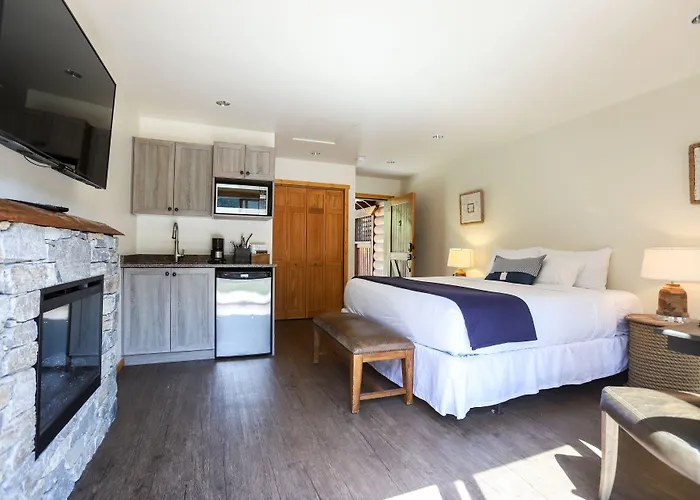Dog Friendly Hotels in Port Renfrew