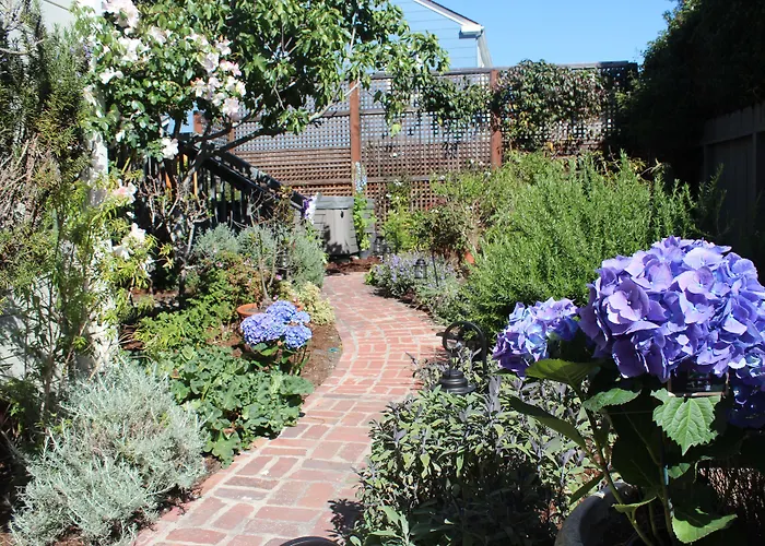 Dog Friendly Hotels in Half Moon Bay
