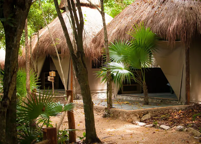 Dog Friendly Hotels in Akumal