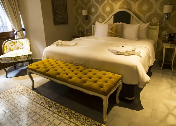 Dog Friendly Hotels in Panama City