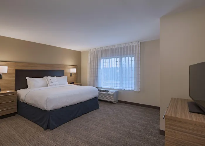 Dog Friendly Hotels in Lakewood
