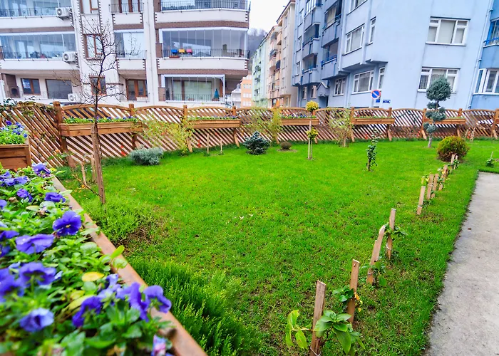 Dog Friendly Hotels in Amasra