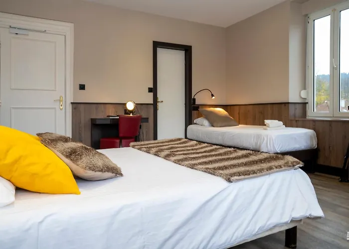 Dog Friendly Hotels in Gerardmer