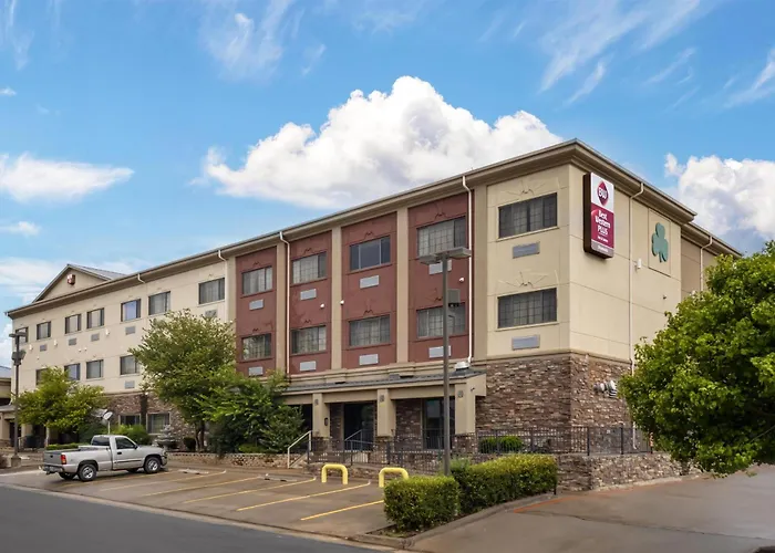 Dog Friendly Hotels in Shamrock