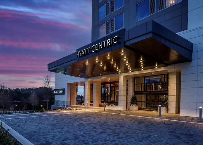Dog Friendly Hotels in Atlanta