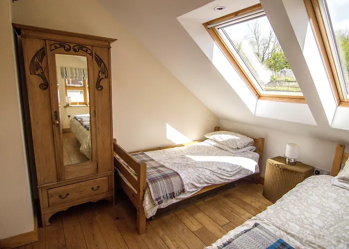Dog Friendly Hotels in Carmarthen
