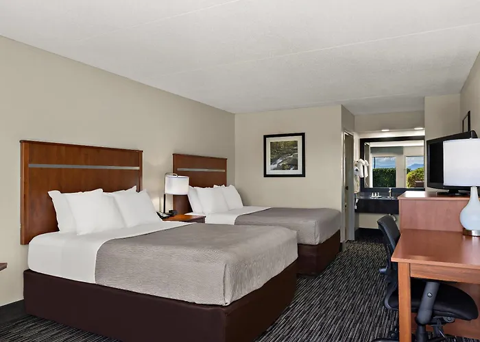 Dog Friendly Hotels in Dandridge