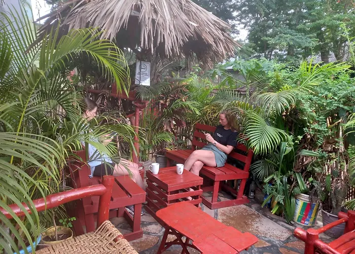 Dog Friendly Hotels in Mombasa
