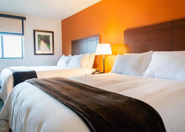 Dog Friendly Hotels in Davenport