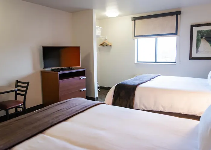 Dog Friendly Hotels in Wixom
