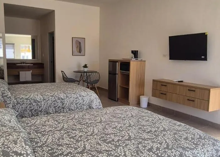 Dog Friendly Hotels in San Carlos Nuevo Guaymas
