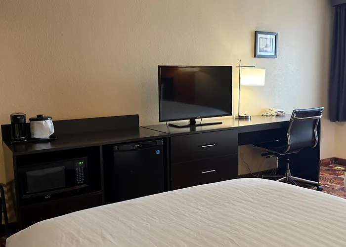 Dog Friendly Hotels in Plainfield