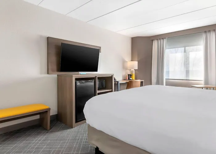 Dog Friendly Hotels in Eagan