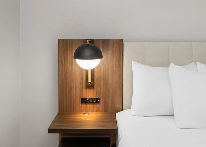 Dog Friendly Hotels in Nacogdoches