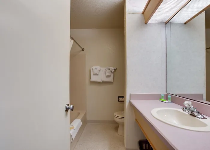 Dog Friendly Hotels in Rockaway Beach