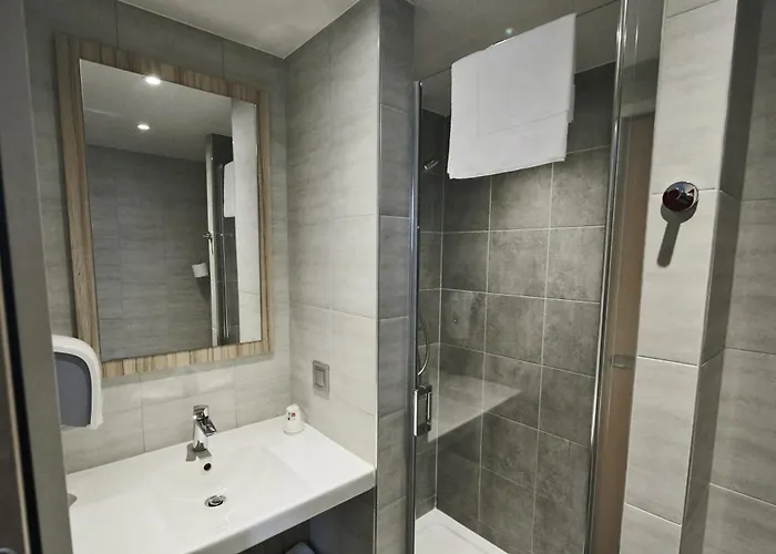 Dog Friendly Hotels in Clermont-Ferrand