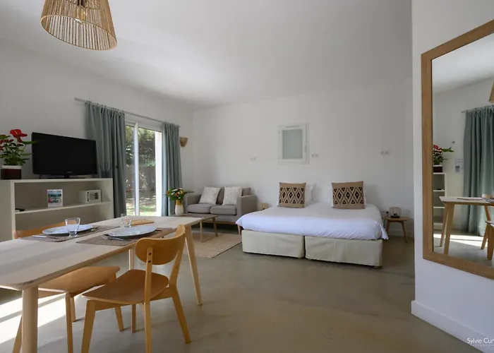 Dog Friendly Hotels in Angoulins