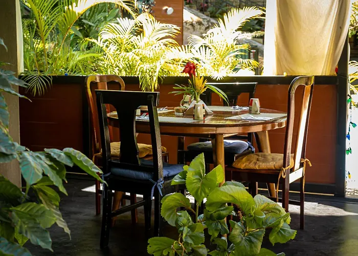 Dog Friendly Hotels in Manuel Antonio