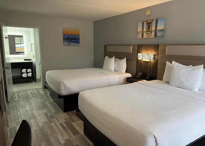 Dog Friendly Hotels in Chula Vista