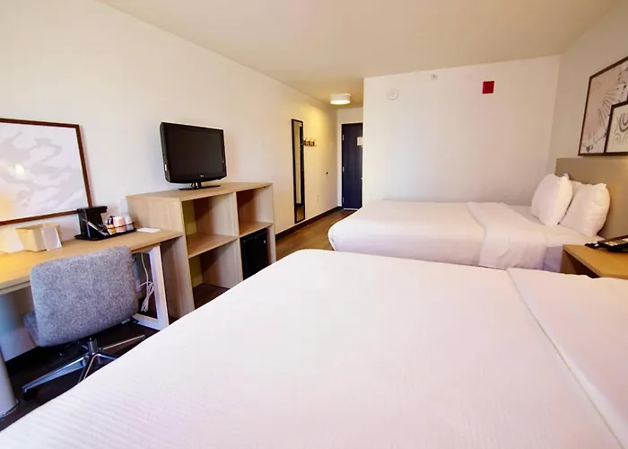 Dog Friendly Hotels in Georgetown
