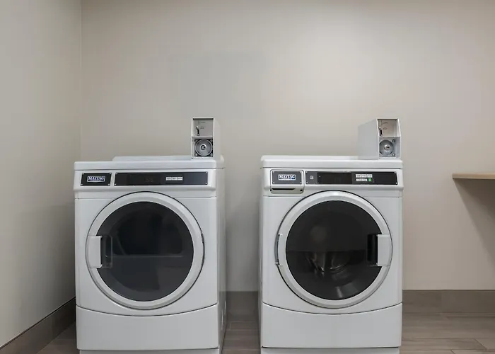 Dog Friendly Hotels in Nicholasville