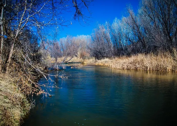 Dog Friendly Hotels in Cottonwood