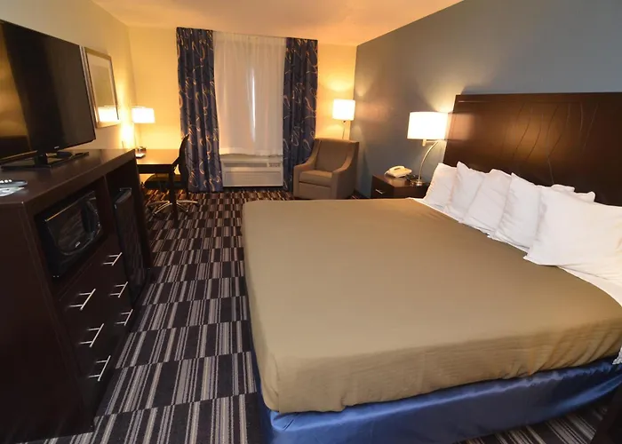 Dog Friendly Hotels in Mount Pleasant