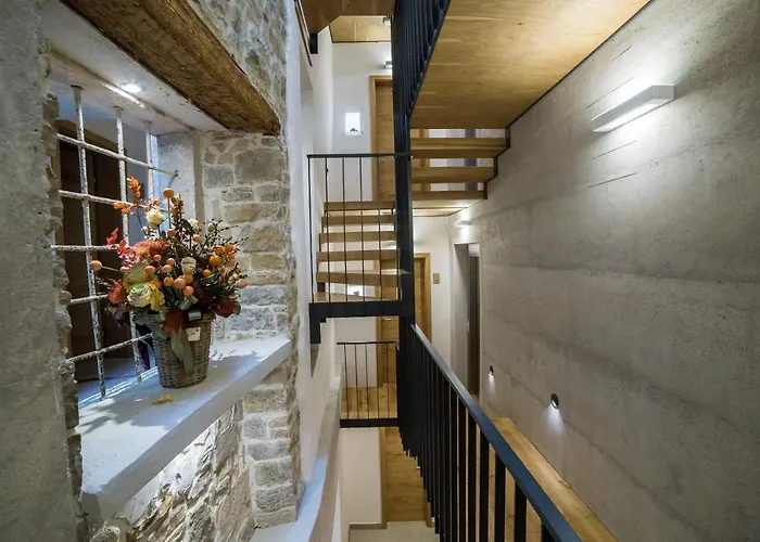 Dog Friendly Hotels in Piran