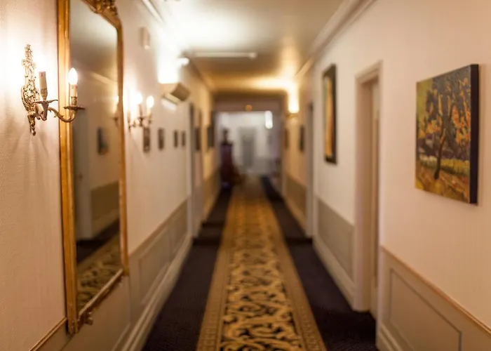Dog Friendly Hotels in Calais